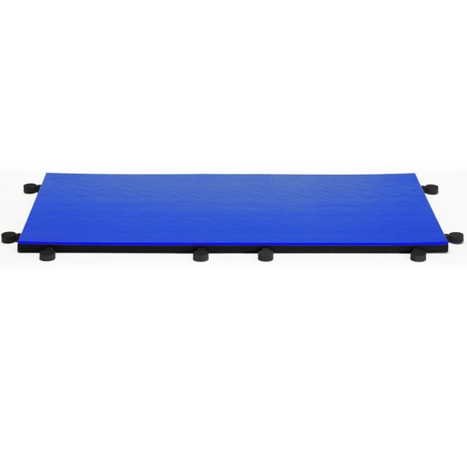 Tatami Trainings I-TIS blau