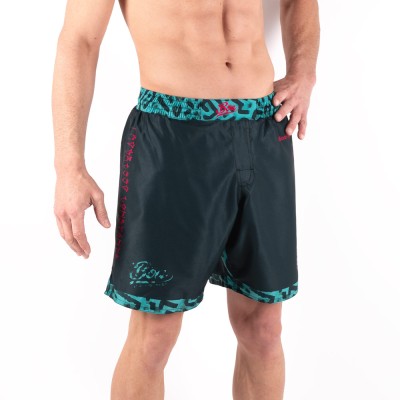 Shorts Grappling Nogi - Raiva